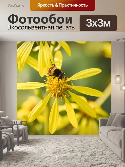 Фотообои Пчела