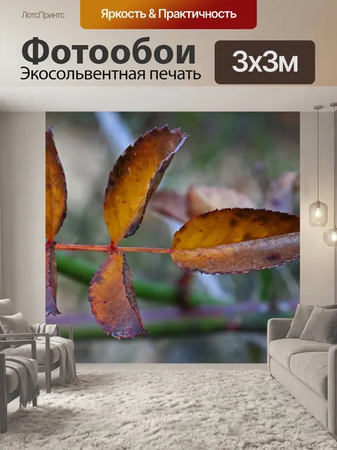 Фотообои желтый и коричневый лист розы