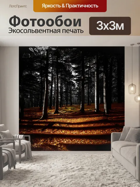 Фотообои печальная обстановка на сосновом лесу, где ветви деревьев, переплетаясь, создают тени и узоры на земле