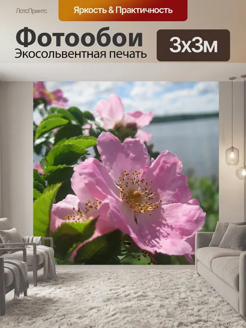 Фотообои Шиповник