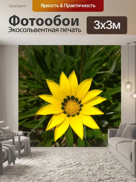 Фотообои Цветок