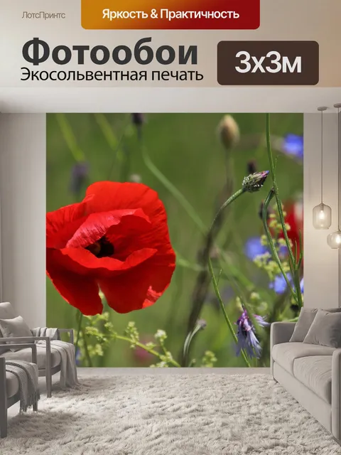 Фотообои Закрыть