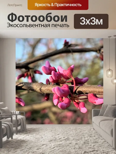 Фотообои Цветы