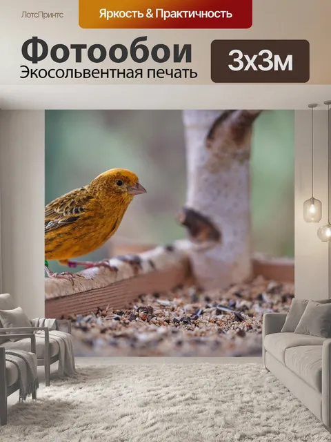 Фотообои Птица