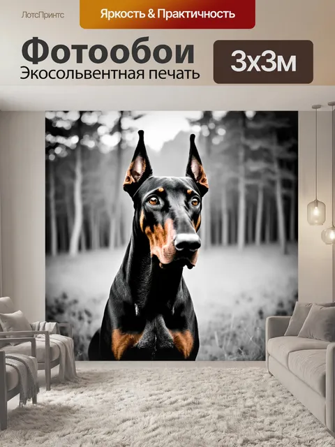 Фотообои документальная фотография добермана на фоне леса, где он защищает свою территорию