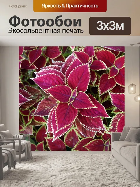 Фотообои Цветы
