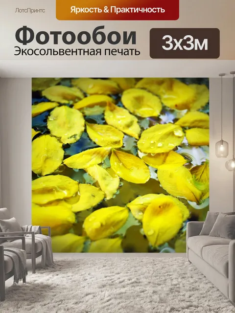 Фотообои Кассия