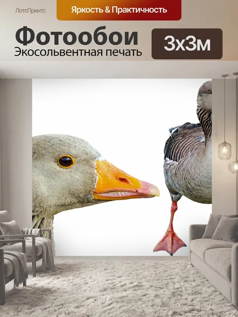 Фотообои Животное