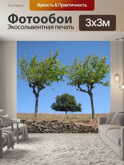 Фотообои Дерево