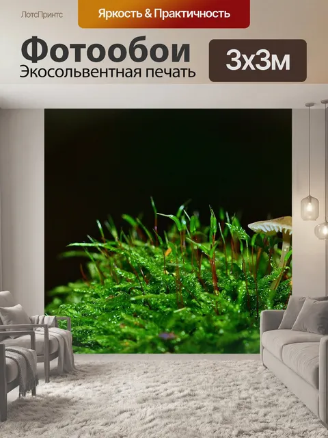 Фотообои Лес