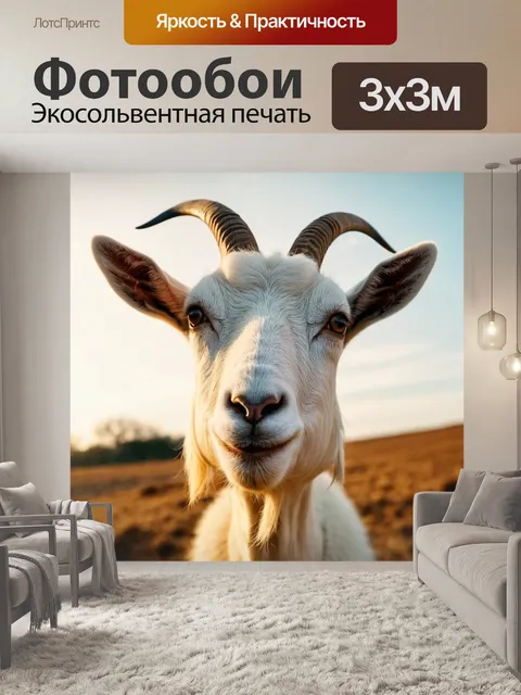 Фотообои крупным планом