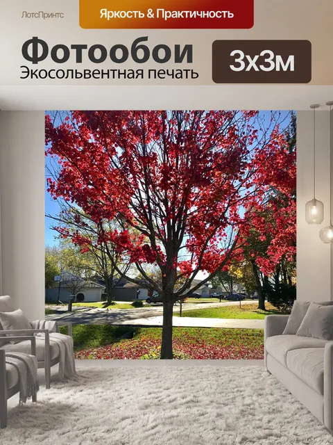 Фотообои Дерево