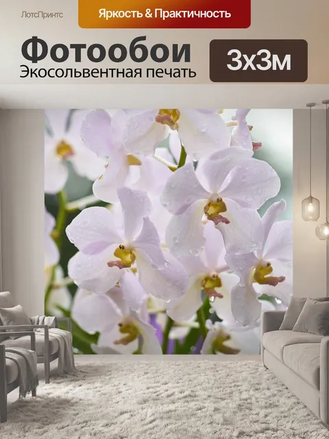 Фотообои Цветок
