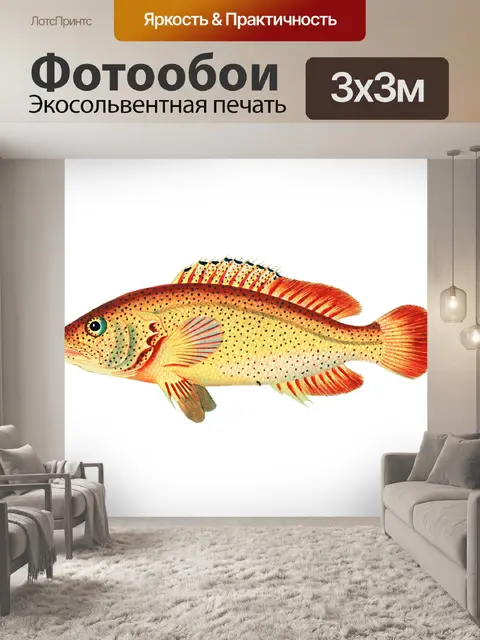 Фотообои Клипарт Fish vintage art