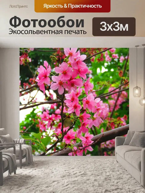 Фотообои Цветение вишни