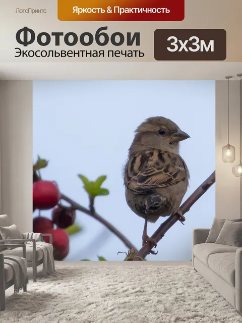 Фотообои Воробей