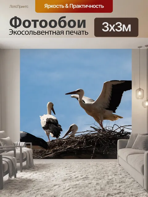 Фотообои Аист