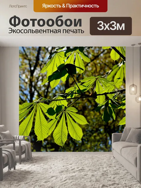 Фотообои Парк