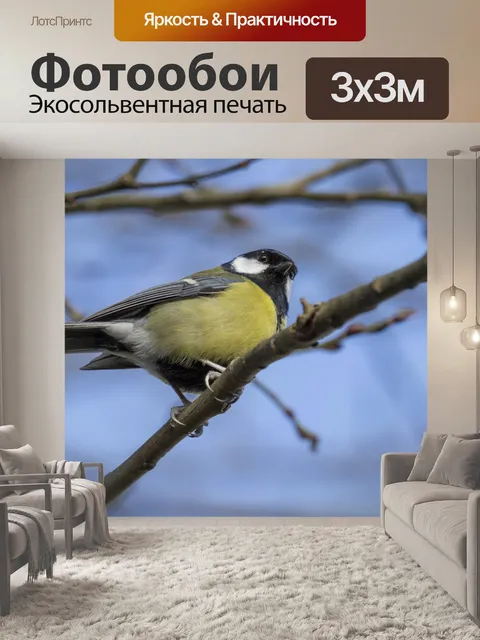 Фотообои Большой сибирский парус