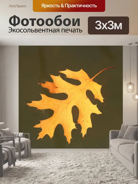 Фотообои Осенний лист, плавающий в воде