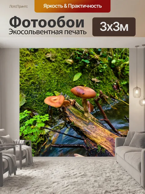 Фотообои Гриб