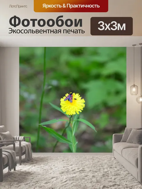 Фотообои Цветок