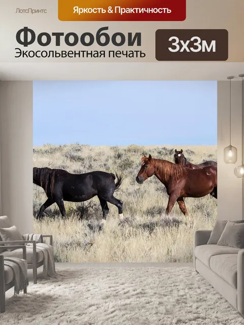 Фотообои Лошади