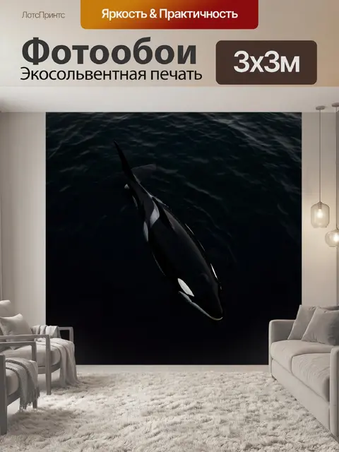 Фотообои Косатка в темной воде