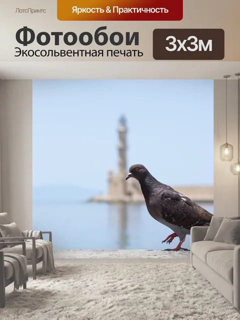 Фотообои Голубь