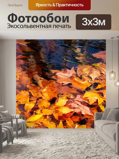 Фотообои Клен