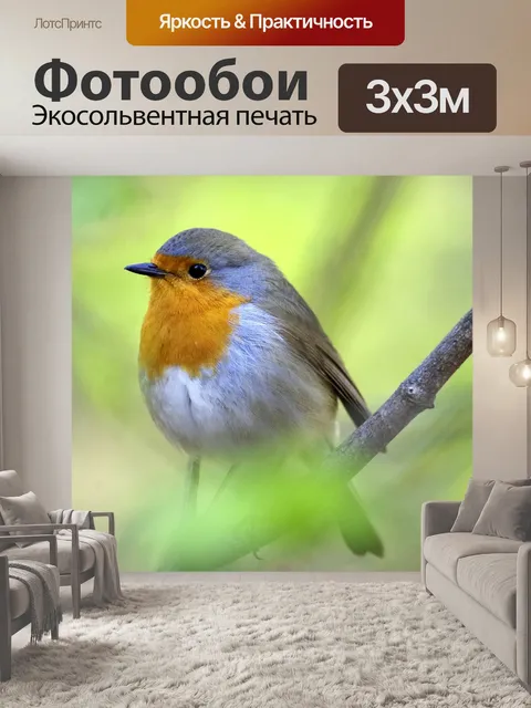 Фотообои Птица