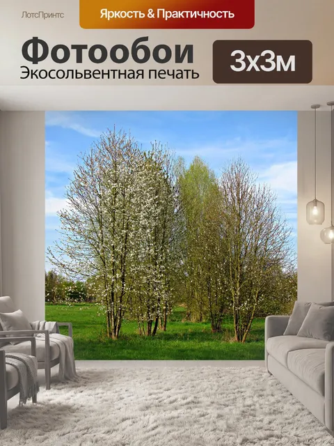 Фотообои Деревья