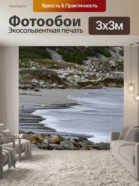 Фотообои Одинокий кулик