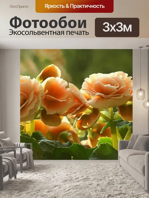 Фотообои Бегония