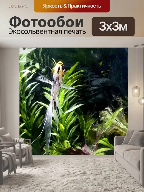 Фотообои Ангел Рыба Аквариум