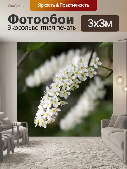 Фотообои Довольно белые цветы