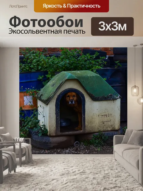 Фотообои Домик для собаки