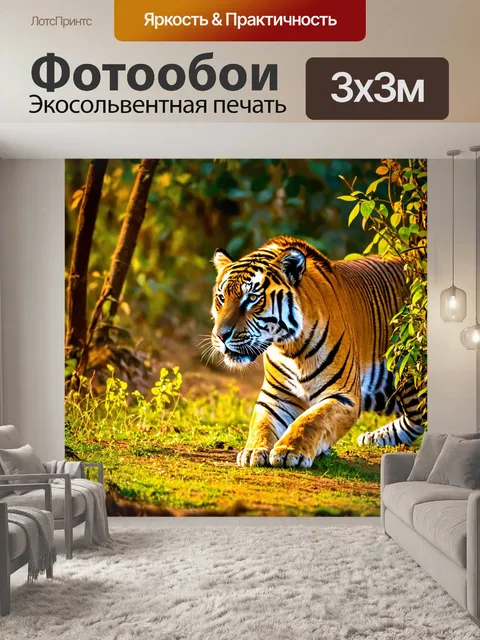 Фотообои тигр, охотящийся в джунглях во время заката
