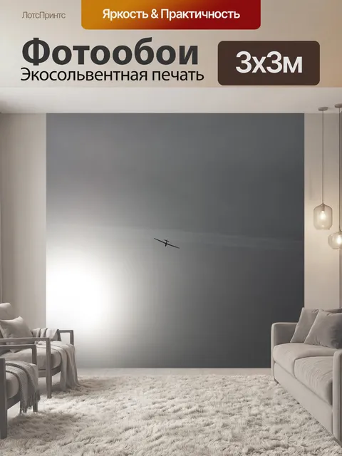 Фотообои Планер