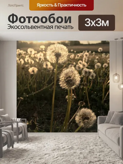 Фотообои Одуванчики