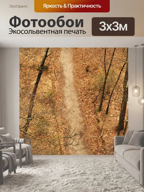 Фотообои Лес