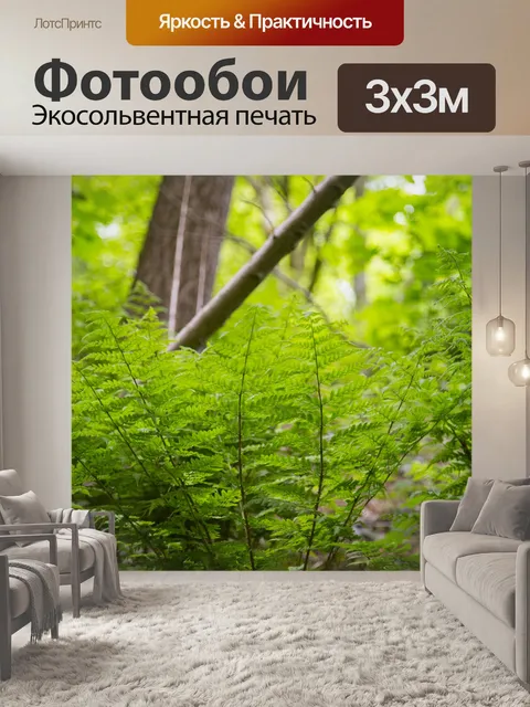 Фотообои папоротник