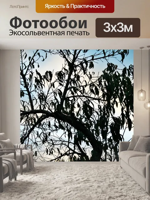 Фотообои Персик дерево силуэт