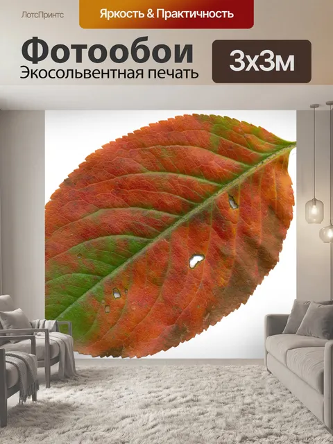 Фотообои Лист