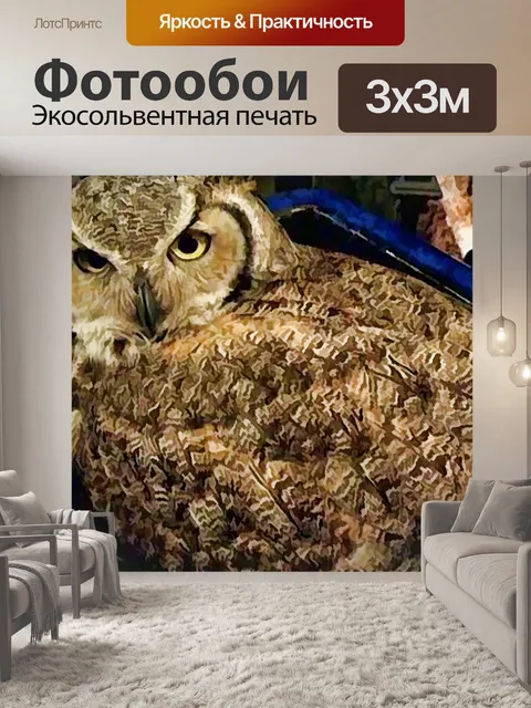 Фотообои Сова