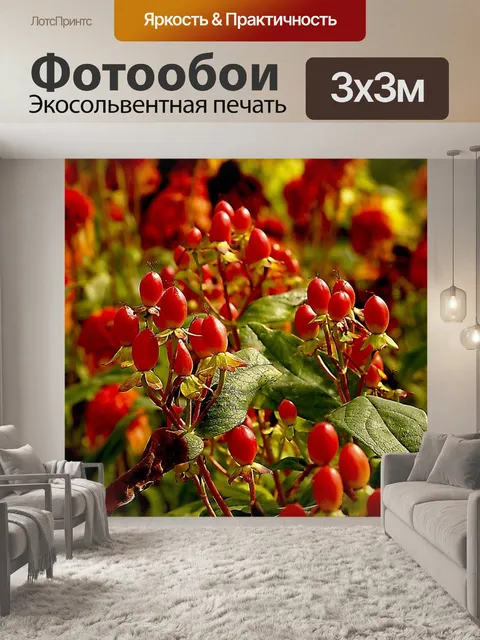 Фотообои Фрукты
