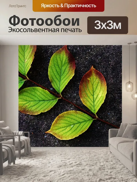 Фотообои Листья