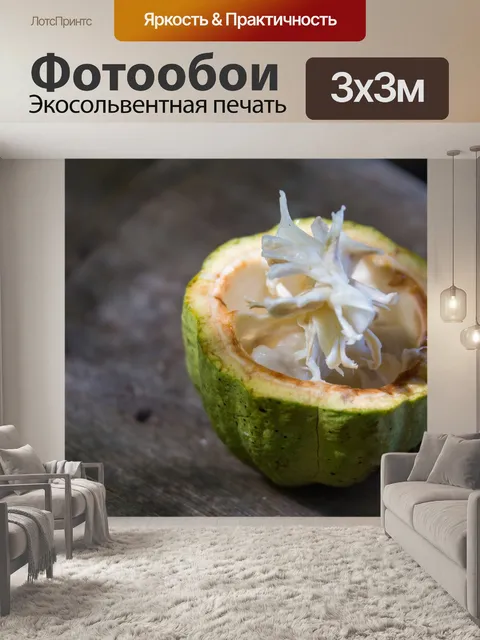 Фотообои Cocoa Pod