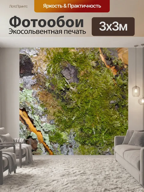 Фотообои Мох