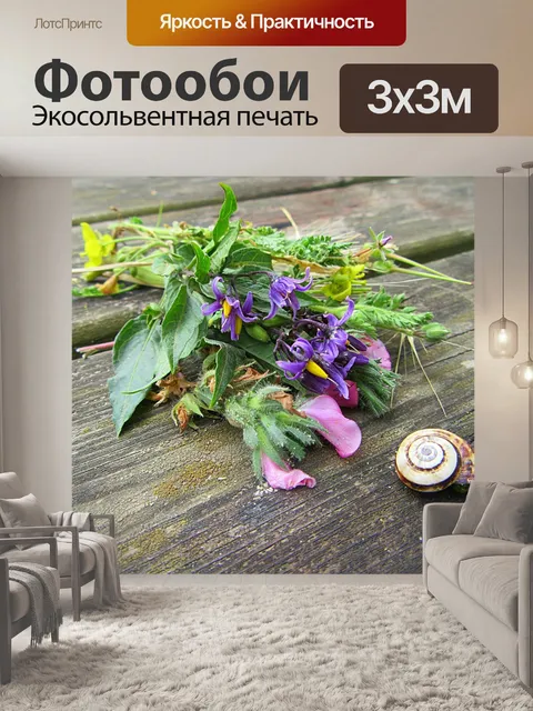 Фотообои Цветы